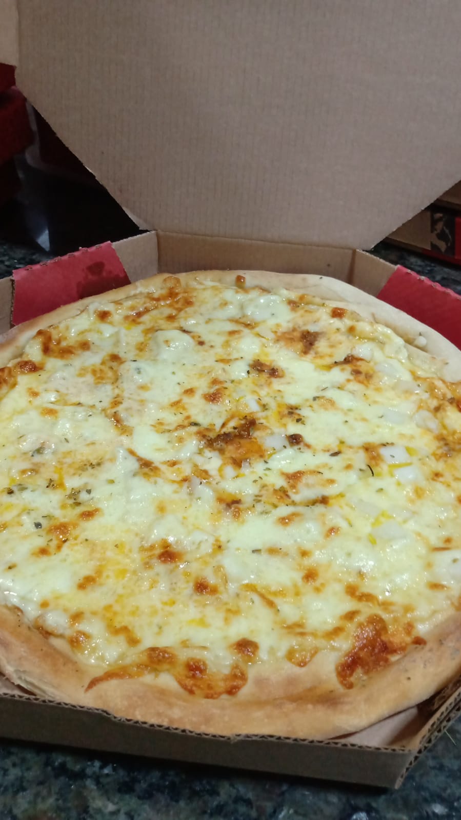 Palmito Bolonhesa Media