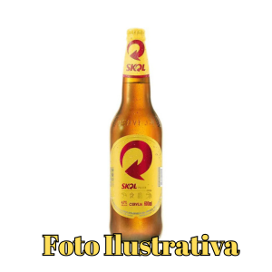 Skol 600Ml